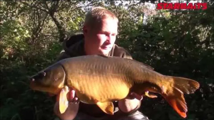 Video thumbnail image