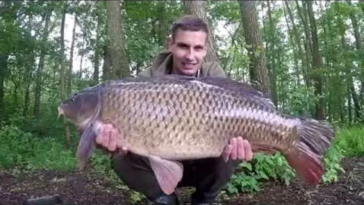 Video thumbnail image
