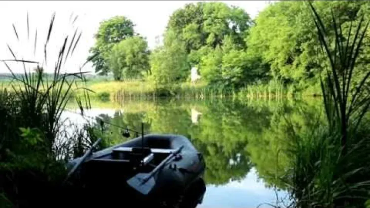 Video thumbnail image